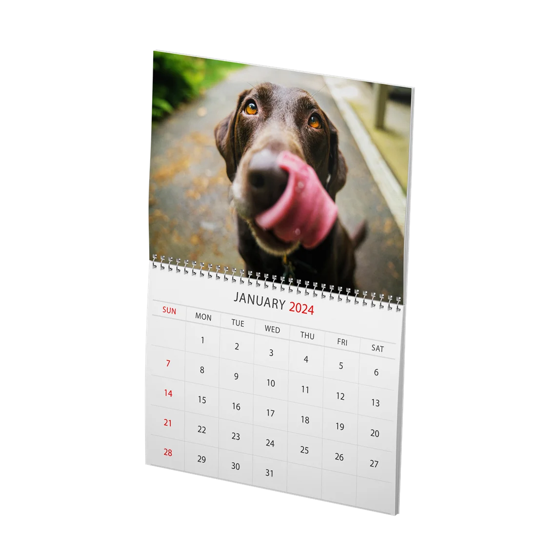 Show details for Spiral Coil Calendars