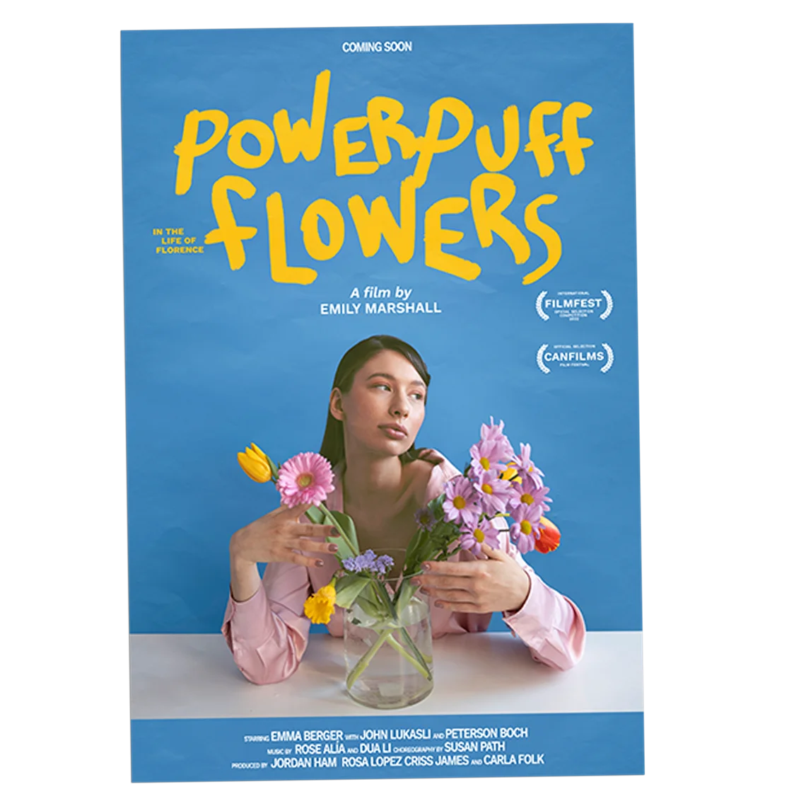 Show details for Posters