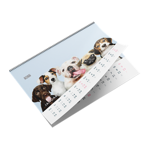 Picture of Wire Coil Calendars